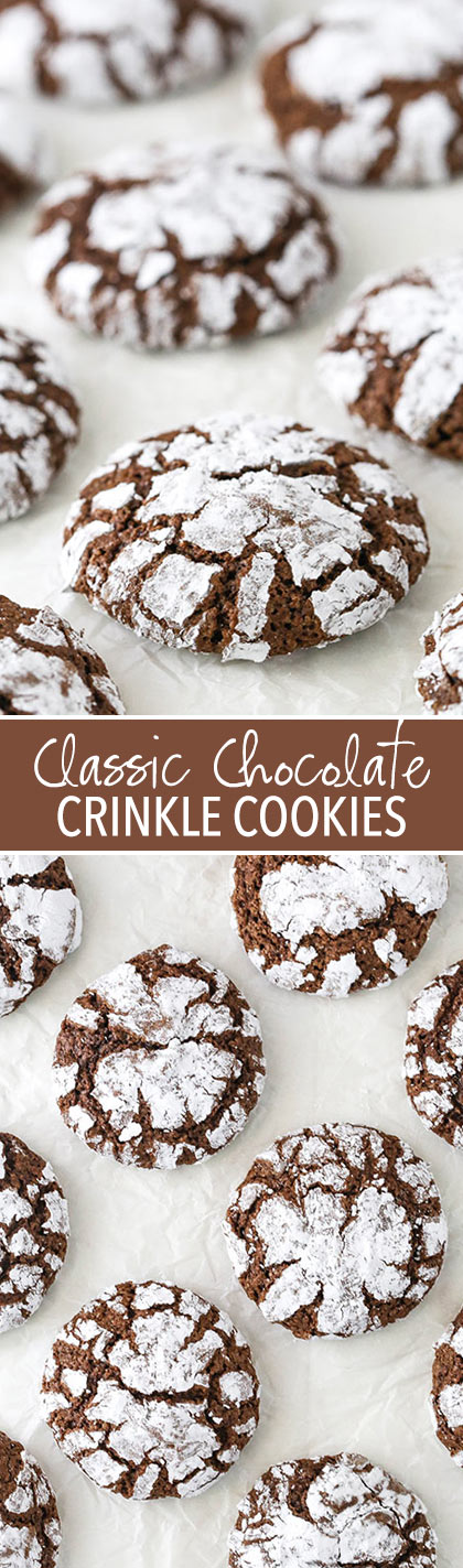 Chocolate Crinkle Cookies - soft and chewy centers with lightly crunchy edges! Classic holiday cookie!