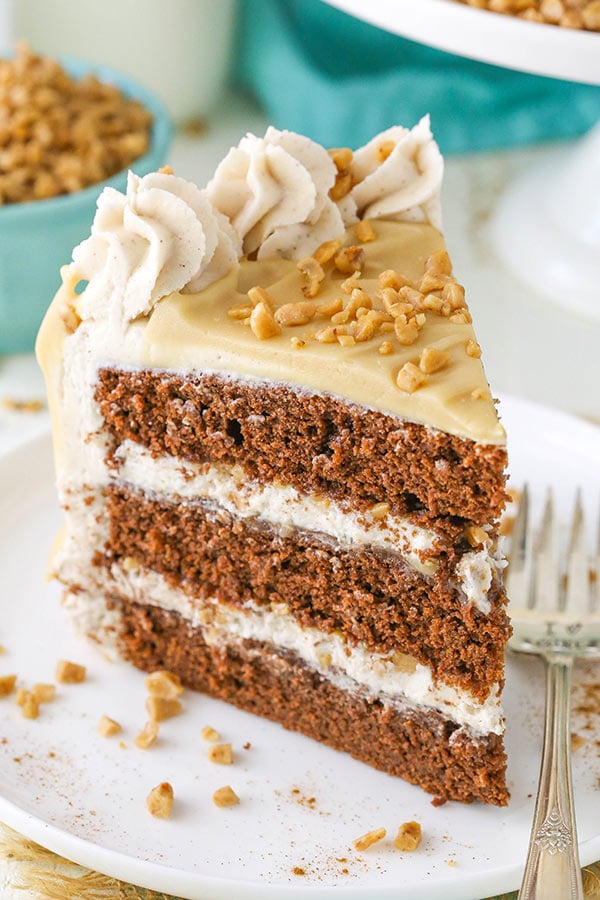 slice of delicious spice cake