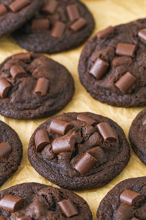 Double Chocolate Chunk Cookies - dense and chewy and great for cookie trays!