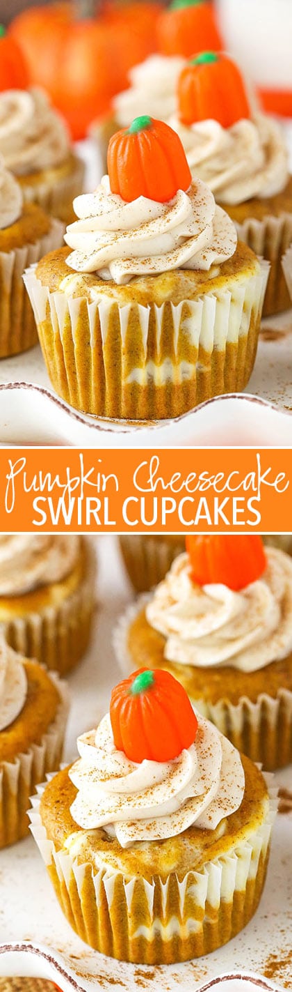 Pumpkin Cheesecake Swirl Cupcakes - layers of pumpkin cupcake and cheesecake! So good!