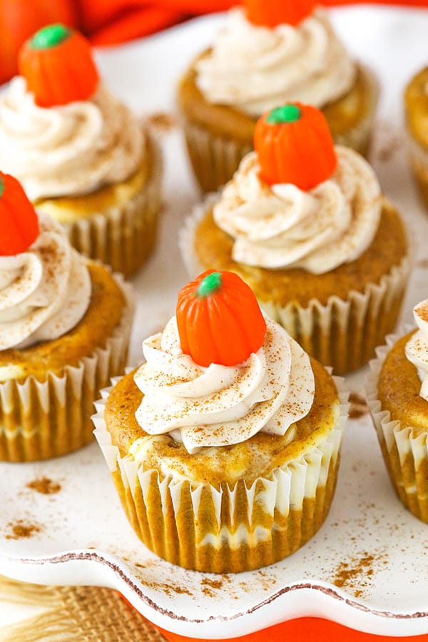 Pumpkin Cheesecake Swirl Cupcakes with pumpkin candies on top.