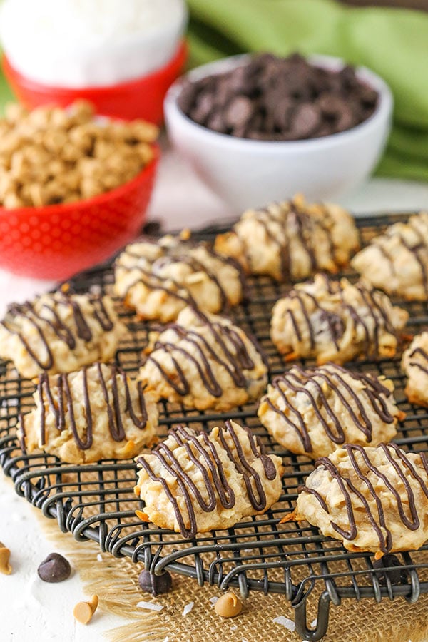 Peanut Butter Chocolate Chip Macaroons recipe