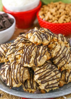 Peanut Butter Chocolate Chip Macaroons on plate
