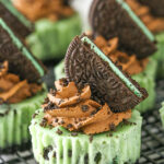 Mini mint Oreo cheesecakes on a wire wrack.