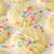 Coconut Sugar Cookies