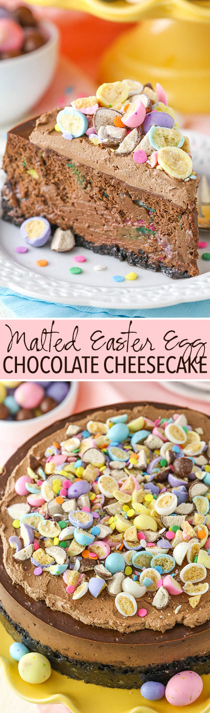 Chocolate Cheesecake with a light crunch and festive color from malted Easter eggs!