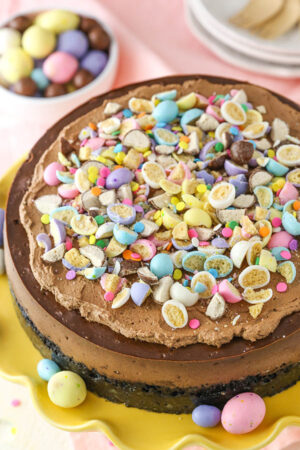 overhead image of Malted Easter Egg Chocolate Cheesecake