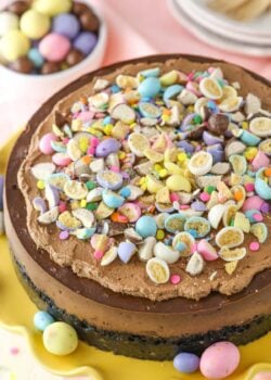 Top view of a Malted Easter Chocolate Cheesecake.
