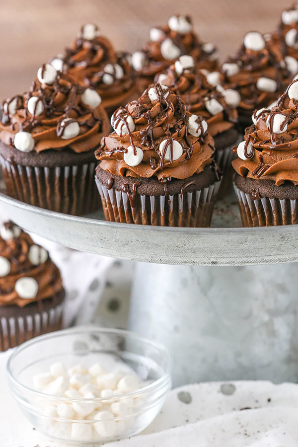 Best Mississippi Mud Cupcakes recipe