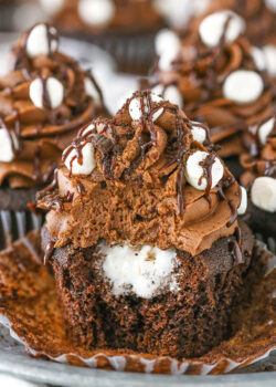 image of Mississippi Mud Cupcake with bite taken out