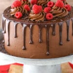 image of Raspberry Chocolate Layer Cake on cake stand