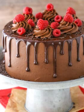 image of Raspberry Chocolate Layer Cake on cake stand