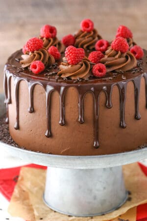 image of Raspberry Chocolate Layer Cake on cake stand