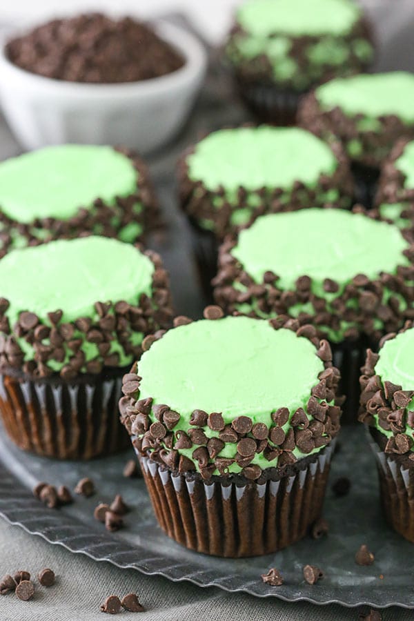 Best Mint Chocolate Chip Cupcakes