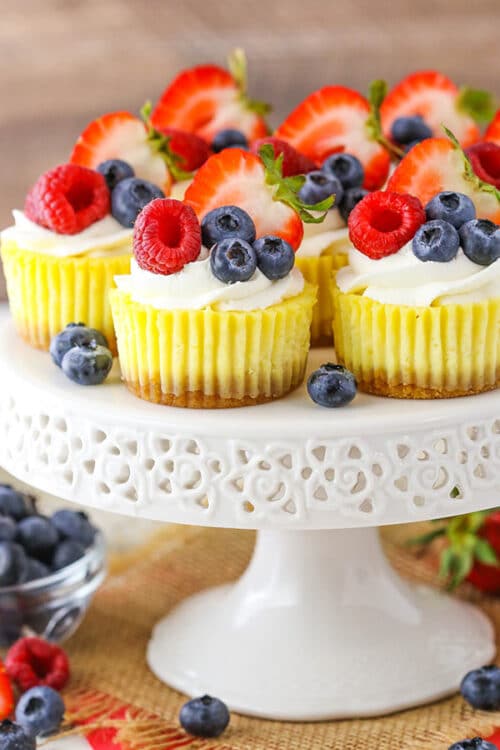 Mini Cheesecakes Easy Cheesecake Recipe with Sour Cream