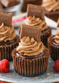 image of Mini Chocolate Cheesecakes