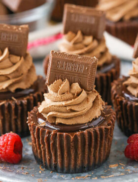 image of Mini Chocolate Cheesecakes