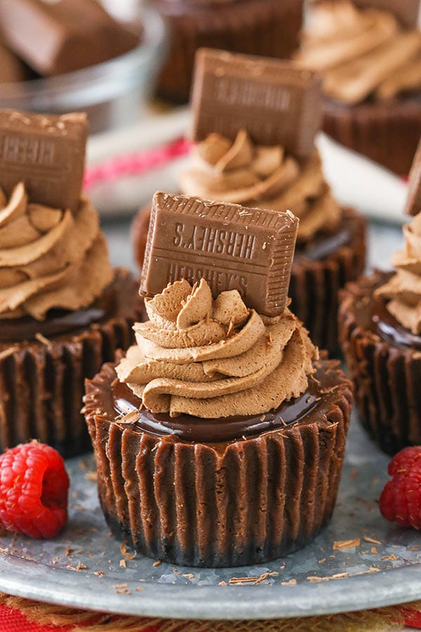 image of Mini Chocolate Cheesecakes