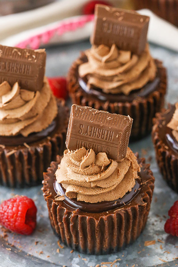 Mini Chocolate Cheesecakes - Mini Chocolate Cheesecake Recipe / They are baked on an oreo crust in a 12 cup muffin tin.