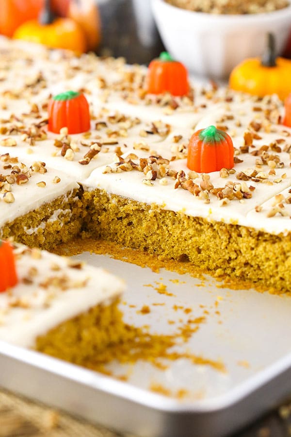 This Pumpkin Sheet Cake is moist, fluffy and covered with a cinnamon cream cheese frosting!