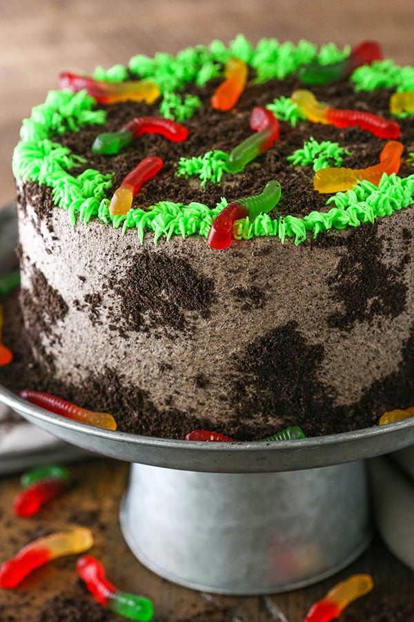 Decorated Dirt Cake