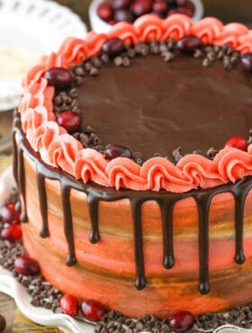 Cranberry Fudge Layer Cake - moist cranberry cake with chocolate fudge frosting! Delicious cake for the holidays!
