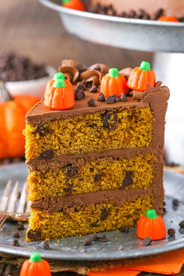 close up slice of Pumpkin Chocolate Chip Cake