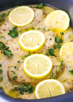 Cooked Chicken Breasts in a Slow Cooker with Sauce, Herbs and Lemon Slices