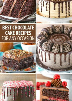 Chocolate Cake roundup
