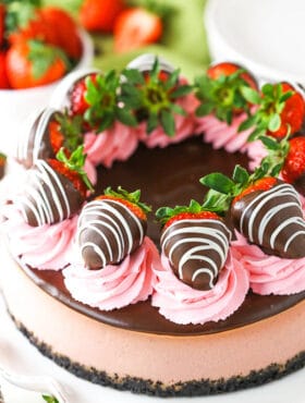 Full image of Chocolate Covered Strawberry Cheesecake