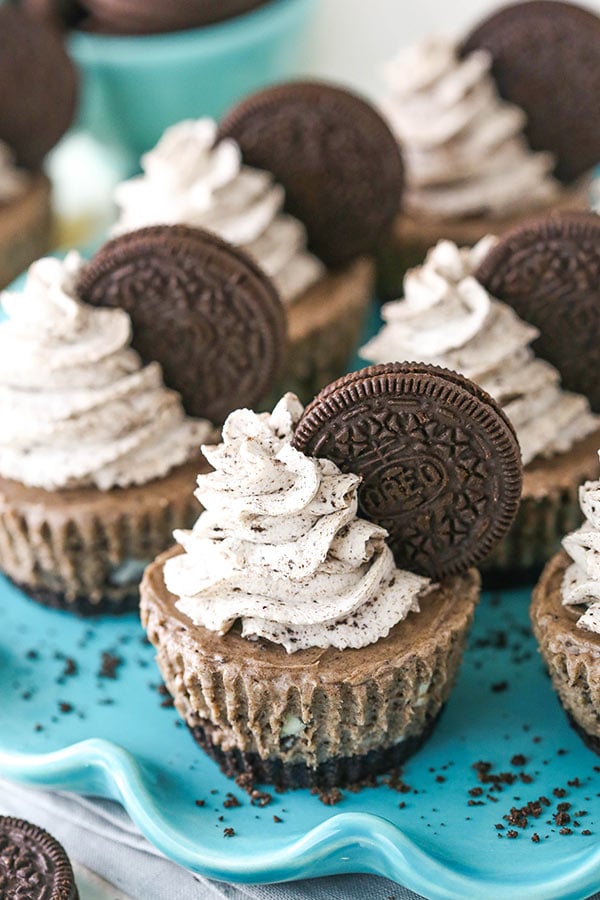 Mini No Bake Oreo Cheesecakes