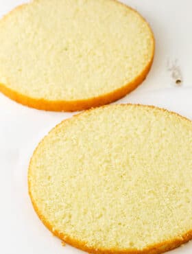 torted cake layers