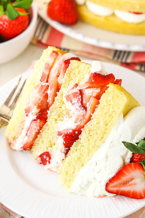 slice of cake close up