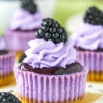 Mini Blackberry Lavender Cheesecakes recipe