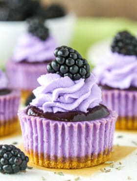 Mini Blackberry Lavender Cheesecakes recipe