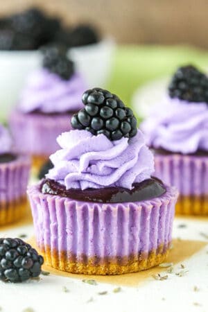 Mini Blackberry Lavender Cheesecakes recipe