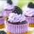 Mini Blackberry Lavender Cheesecakes
