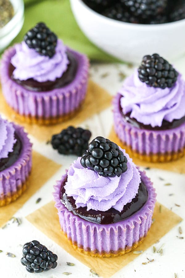 overhead angle of mini blackberry lavender cheesecakes