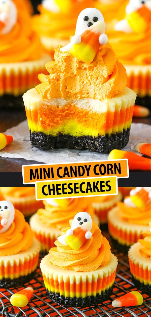These Mini Candy Corn Cheesecakes are easy to make and such a fun dessert for Halloween!