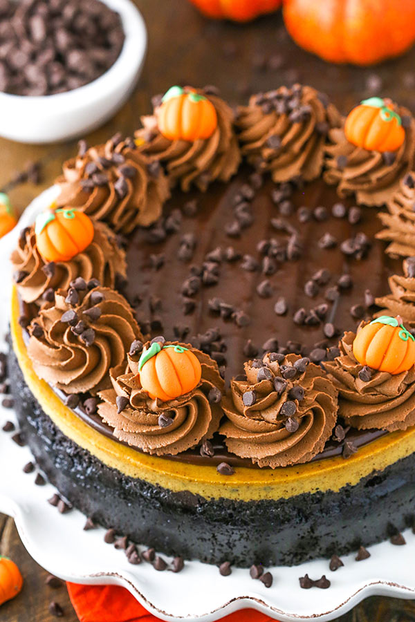 full chocolate chip pumpkin cheesecake