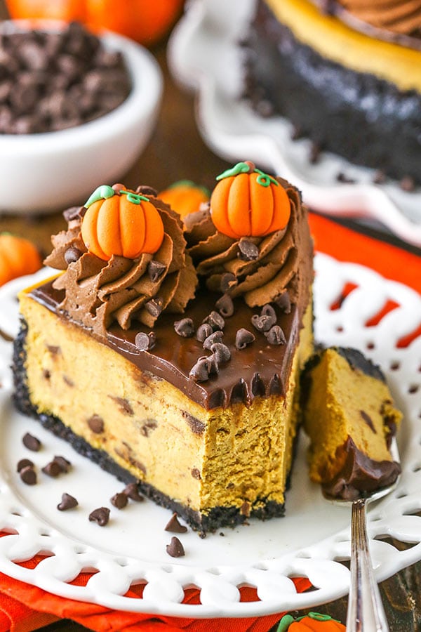bite of chocolate chip pumpkin cheesecake