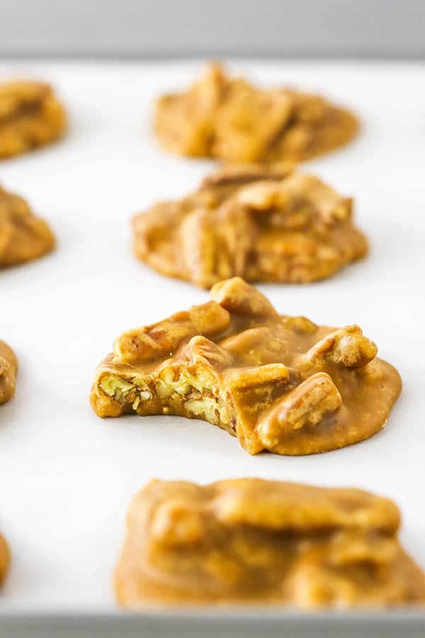 The BEST Southern Praline Pecans Recipe | Life, Love and Sugar