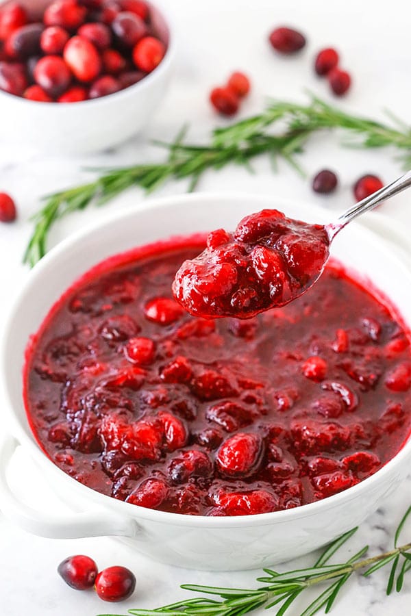 Cranberry Sauce on spoon