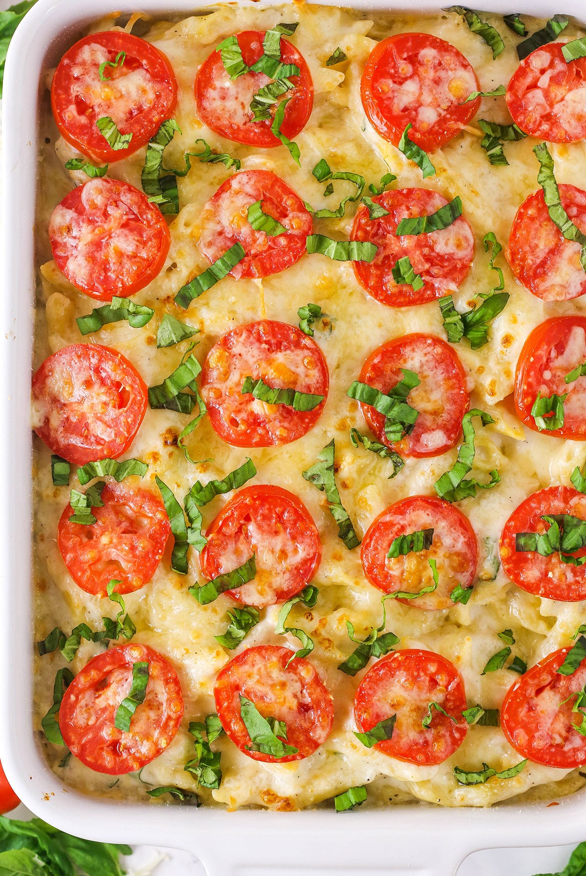 Close up of full Tomato Basil Macaroni and Cheese