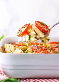 Tomato Basil Macaroni and Cheese being scooped up