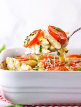 Tomato Basil Macaroni and Cheese being scooped up