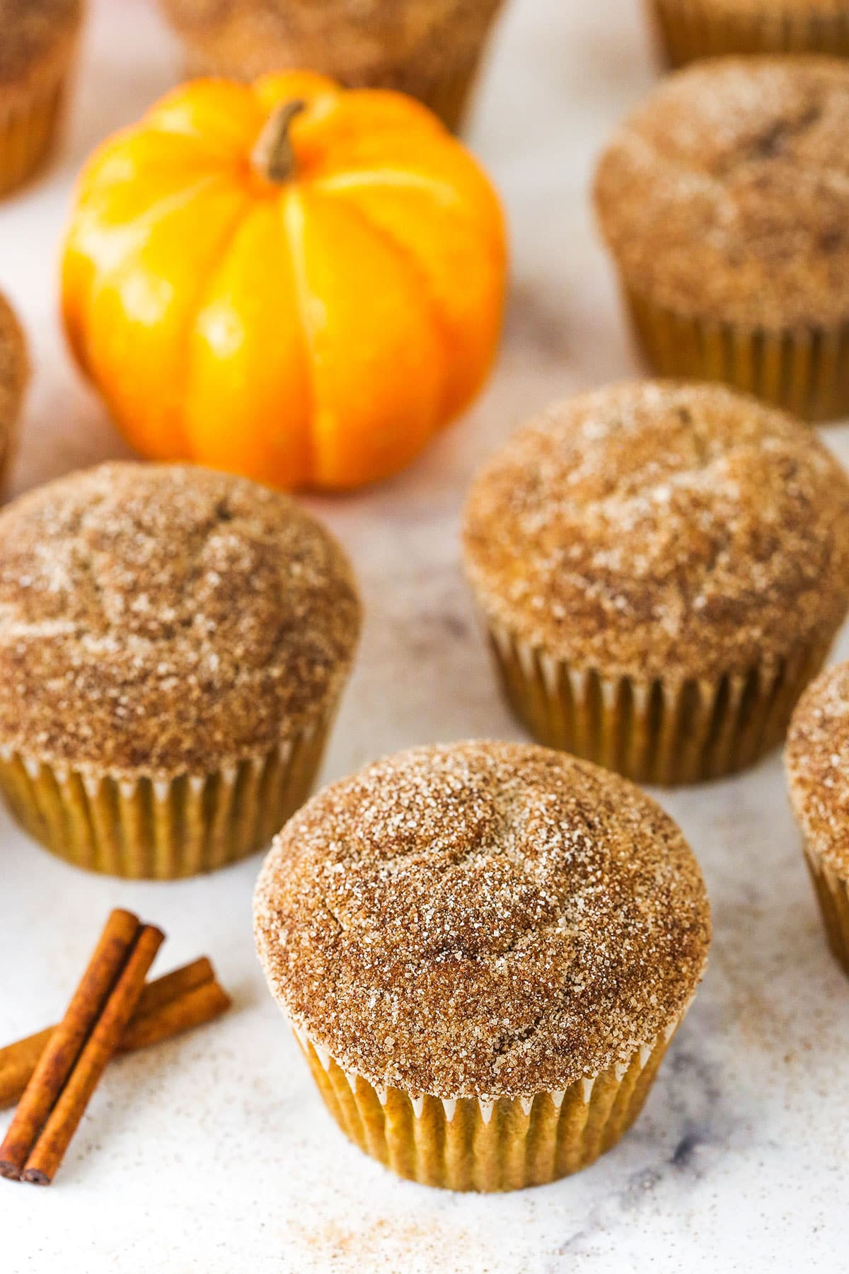 These easy cinnamon pumpkin muffins are so moist and fluffy, full of fall flavors, and topped with cinnamon sugar. cinnamon sugar pumpkin muffins next to cinnamon sticks and mini pumpkin