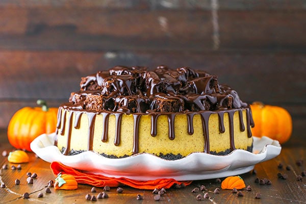 imagen horizontal de pastel de queso de calabaza con chocolate y trozos de calabaza