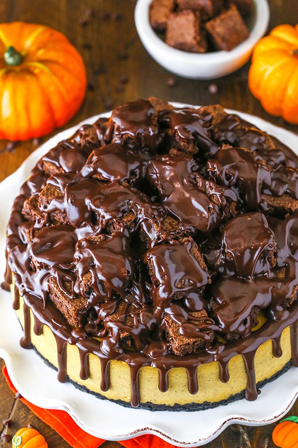 top of the chunkin chocolate pumpkin cheesecake