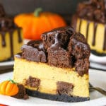 slice of chunkin chocolate pumpkin cheesecake